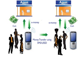 Figure 1: Overview of mobile money transactions